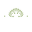 leonard consultancy green & white